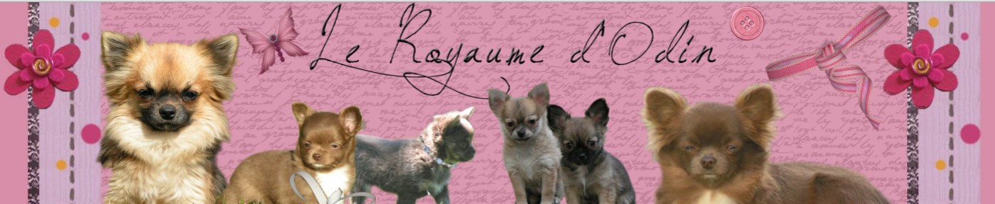 nouveau site plus complet