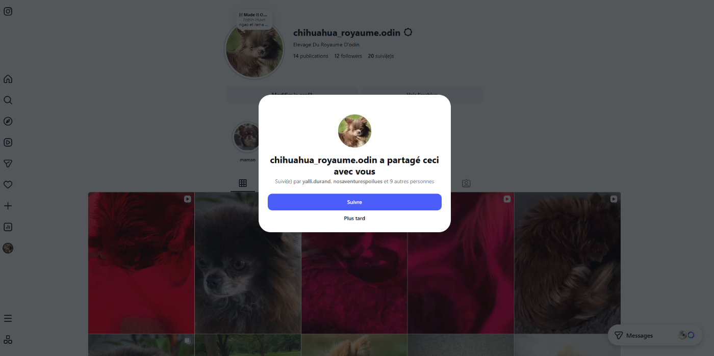 lien vers la page instagram de l'elevage du royaume d'odin